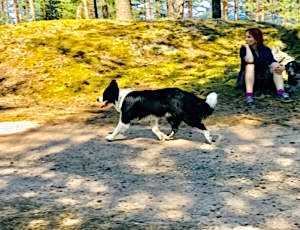 Летний лагерь 2018 - Фотоотчёт