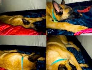 Летний лагерь 2018 - Фотоотчёт