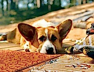 Летний лагерь 2018 - Фотоотчёт