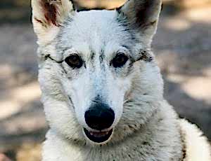 Летний лагерь 2018 - Фотоотчёт