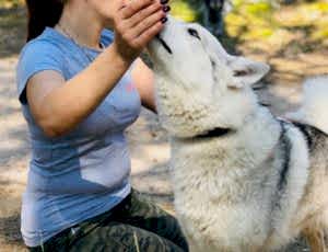 Летний лагерь 2018 - Фотоотчёт