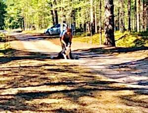 Летний лагерь 2018 - Фотоотчёт