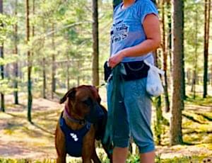 Летний лагерь 2018 - Фотоотчёт