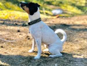 Летний лагерь 2018 - Фотоотчёт