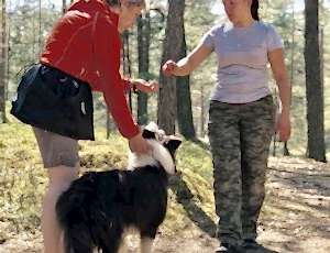 Летний лагерь 2018 - Фотоотчёт