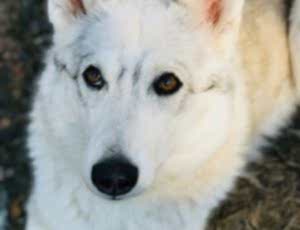 Летний лагерь 2018 - Фотоотчёт