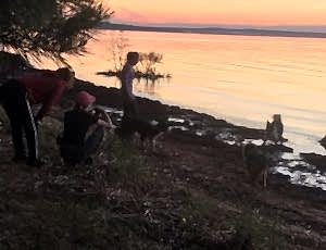 Летний лагерь 2018 - Фотоотчёт