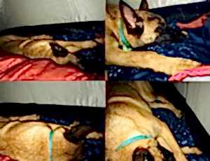 Летний лагерь 2018 - Фотоотчёт