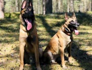 Летний лагерь 2018 - Фотоотчёт