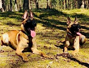 Летний лагерь 2018 - Фотоотчёт