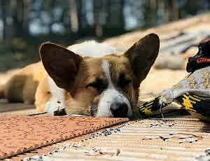 Летний лагерь 2018 - Фотоотчёт