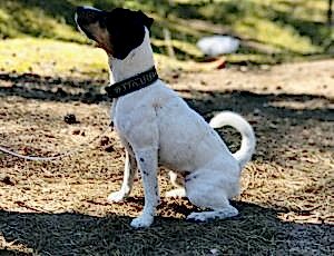 Летний лагерь 2018 - Фотоотчёт