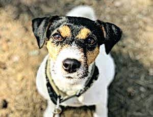 Летний лагерь 2018 - Фотоотчёт