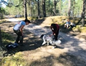 Летний лагерь 2018 - Фотоотчёт