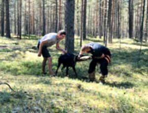 Летний лагерь 2018 - Фотоотчёт