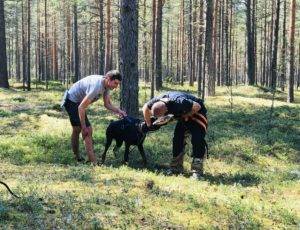 Летний лагерь 2018 - Фотоотчёт