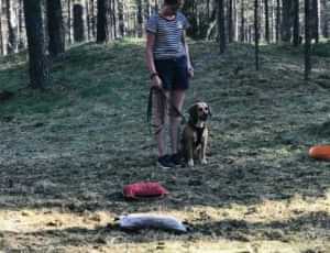 Летний лагерь 2018 - Фотоотчёт