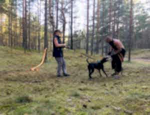 Летний лагерь 2018 - Фотоотчёт