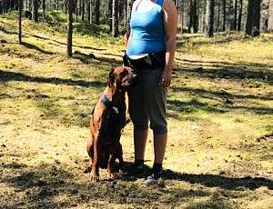 Летний лагерь 2018 - Фотоотчёт