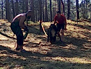 Летний лагерь 2018 - Фотоотчёт