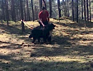 Летний лагерь 2018 - Фотоотчёт