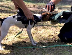 Летний лагерь 2018 - Фотоотчёт