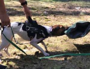 Летний лагерь 2018 - Фотоотчёт