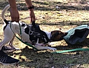 Летний лагерь 2018 - Фотоотчёт