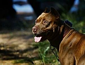 Летний лагерь 2018 - Фотоотчёт