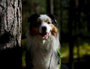 Летний лагерь 2018 - Фотоотчёт