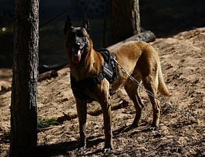 Летний лагерь 2018 - Фотоотчёт