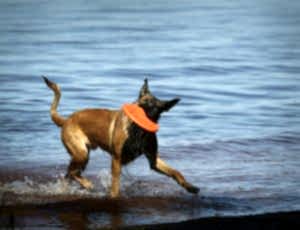 Летний лагерь 2018 - Фотоотчёт