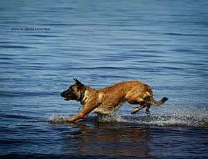 Летний лагерь 2018 - Фотоотчёт