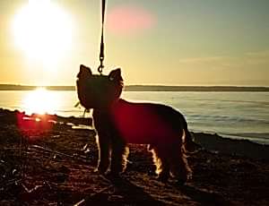 Летний лагерь 2018 - Фотоотчёт