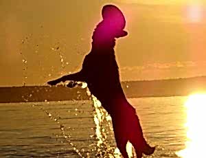 Летний лагерь 2018 - Фотоотчёт