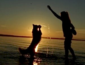 Летний лагерь 2018 - Фотоотчёт