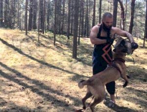 Летний лагерь 2018 - Фотоотчёт