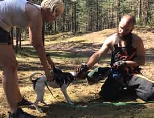 Летний лагерь 2018 - Фотоотчёт