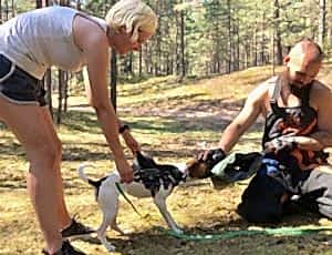 Летний лагерь 2018 - Фотоотчёт