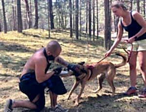 Летний лагерь 2018 - Фотоотчёт