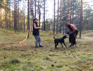 Летний лагерь 2018 - Фотоотчёт