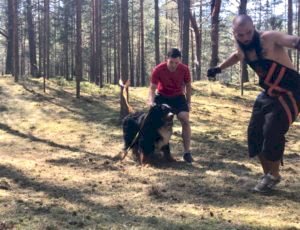 Летний лагерь 2018 - Фотоотчёт