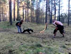 Летний лагерь 2018 - Фотоотчёт