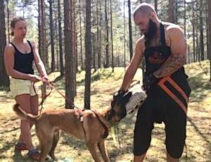 Летний лагерь 2018 - Фотоотчёт