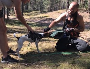 Летний лагерь 2018 - Фотоотчёт