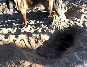 Летний лагерь 2018 - Фотоотчёт