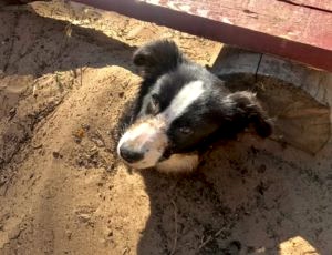 Летний лагерь 2018 - Фотоотчёт