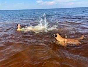 Летний лагерь 2018 - Фотоотчёт