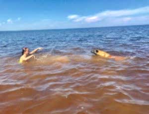 Летний лагерь 2018 - Фотоотчёт