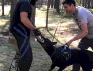 Летний лагерь 2018 - Фотоотчёт